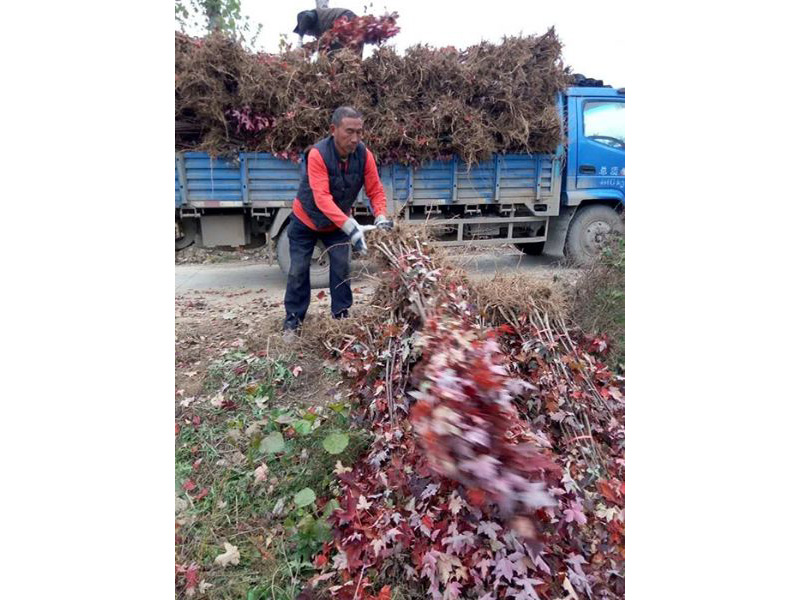 裝車(chē)現場(chǎng)