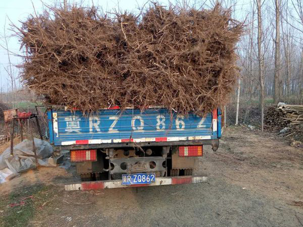 裝車(chē)現場(chǎng)