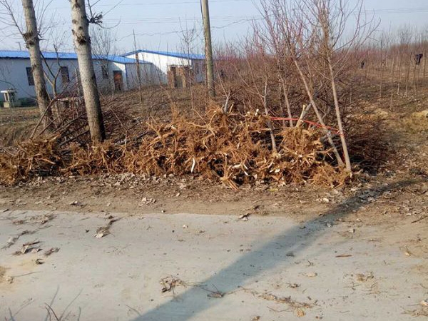 裝車(chē)現場(chǎng)